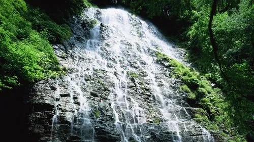 精密全自动高端